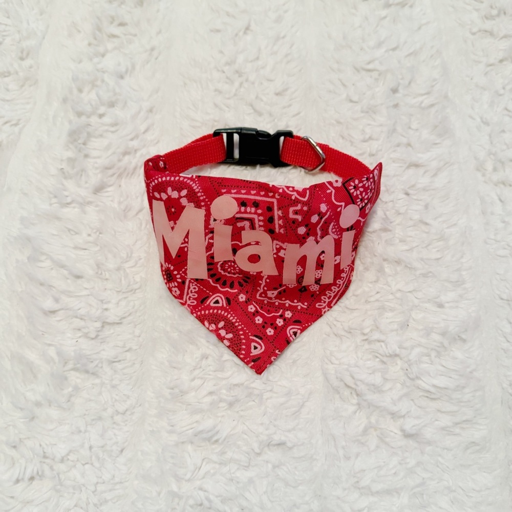 Miami dog bandana collar 💕 small